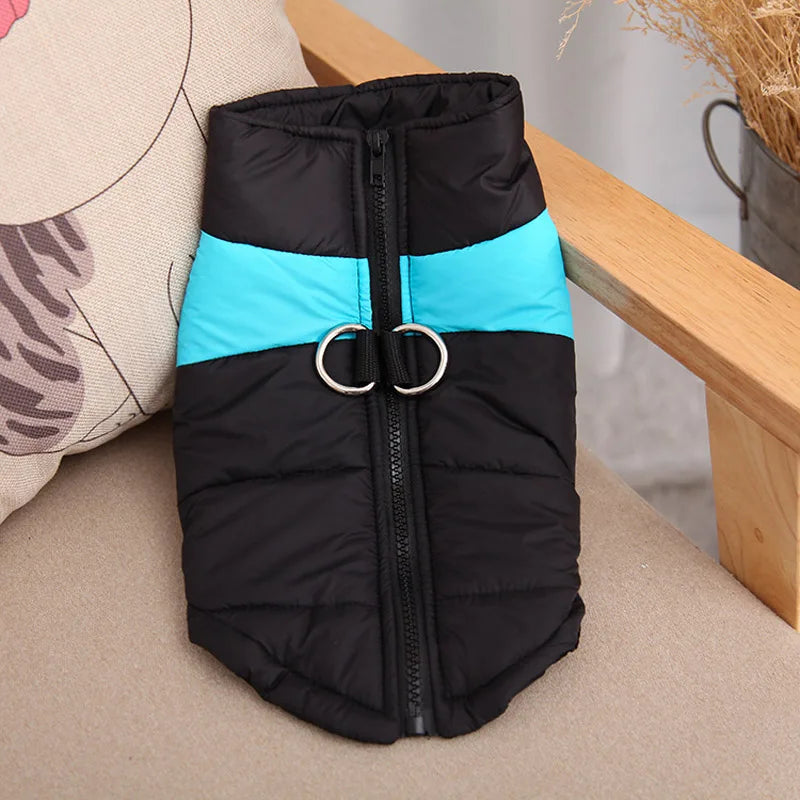 The Padded Thermal Dog Puffer | Black & Colour-Block
