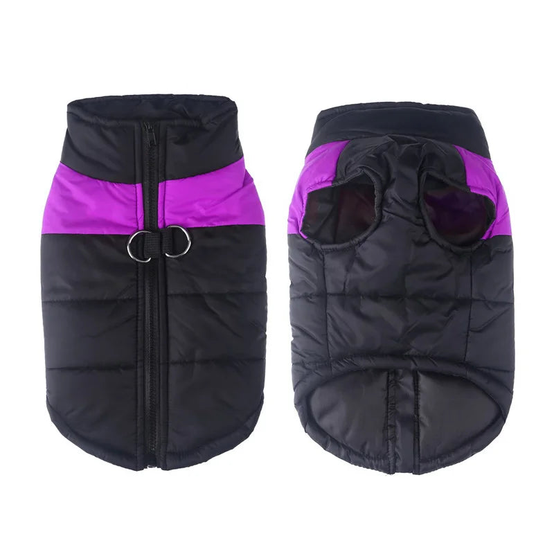 The Padded Thermal Dog Puffer | Black & Colour-Block
