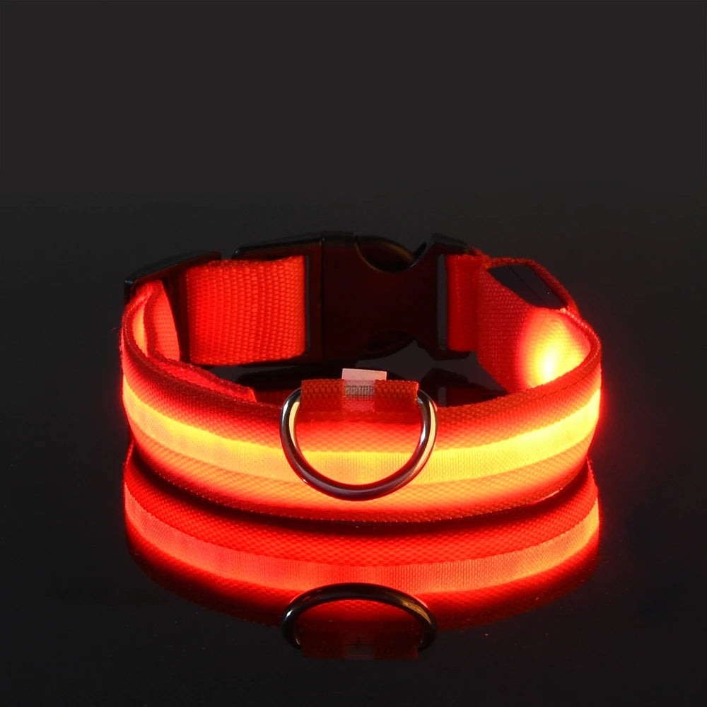 The 'Paw-Safe Glow' Collar