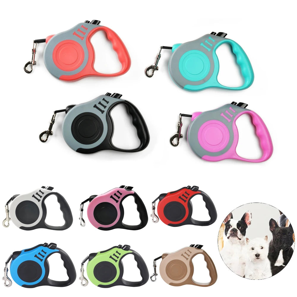 Collection of colorful retractable dog leashes on a white background
