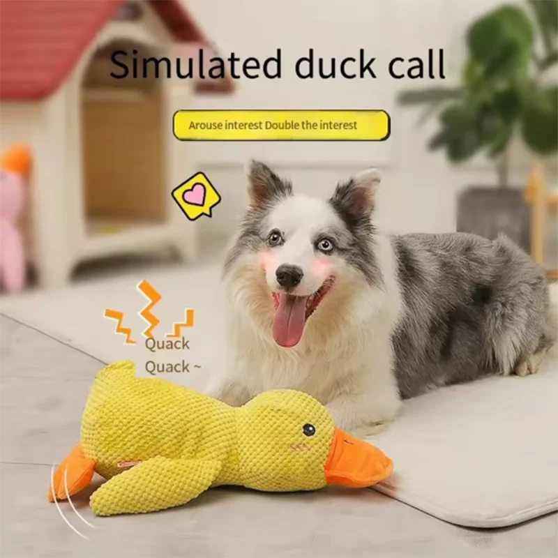 The "Quackers About You" Dog Toy
