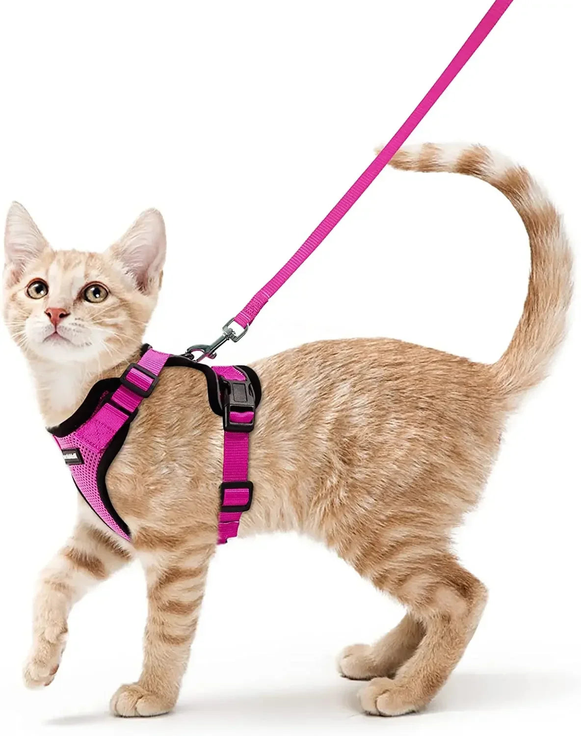 KittyStride Comfort Harness