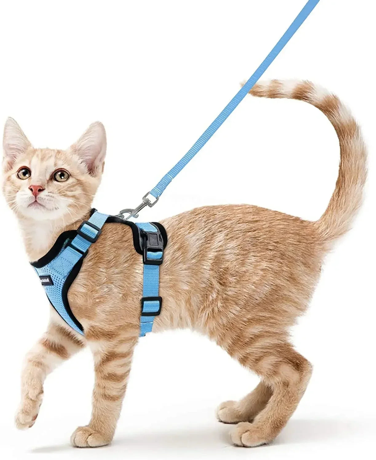 KittyStride Comfort Harness