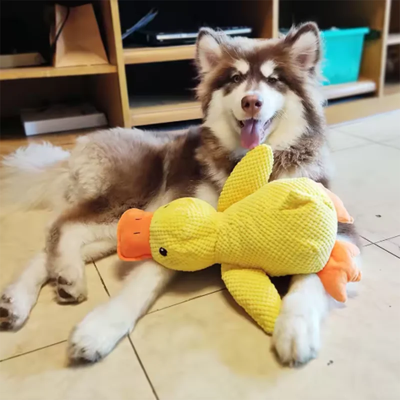 The "Quackers About You" Dog Toy