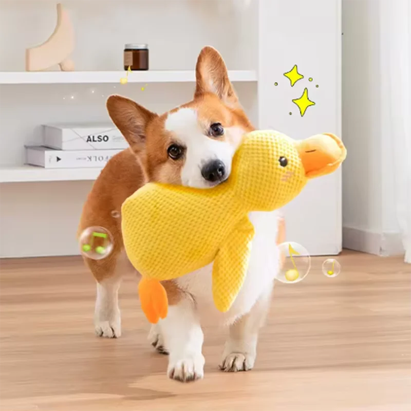 The "Quackers About You" Dog Toy