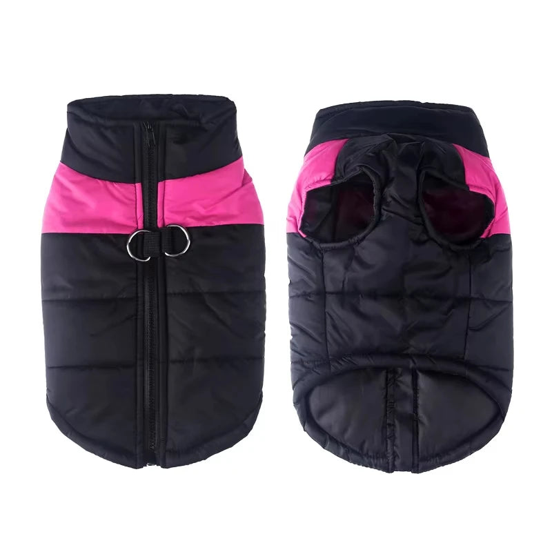 The Padded Thermal Dog Puffer | Black & Colour-Block