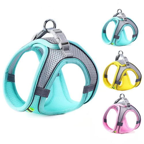 'Night-Walker' Safety Cat & Small Dog Harness