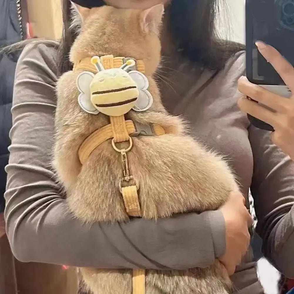 The "Little Buzzer" Corduroy Harness & Lead Set