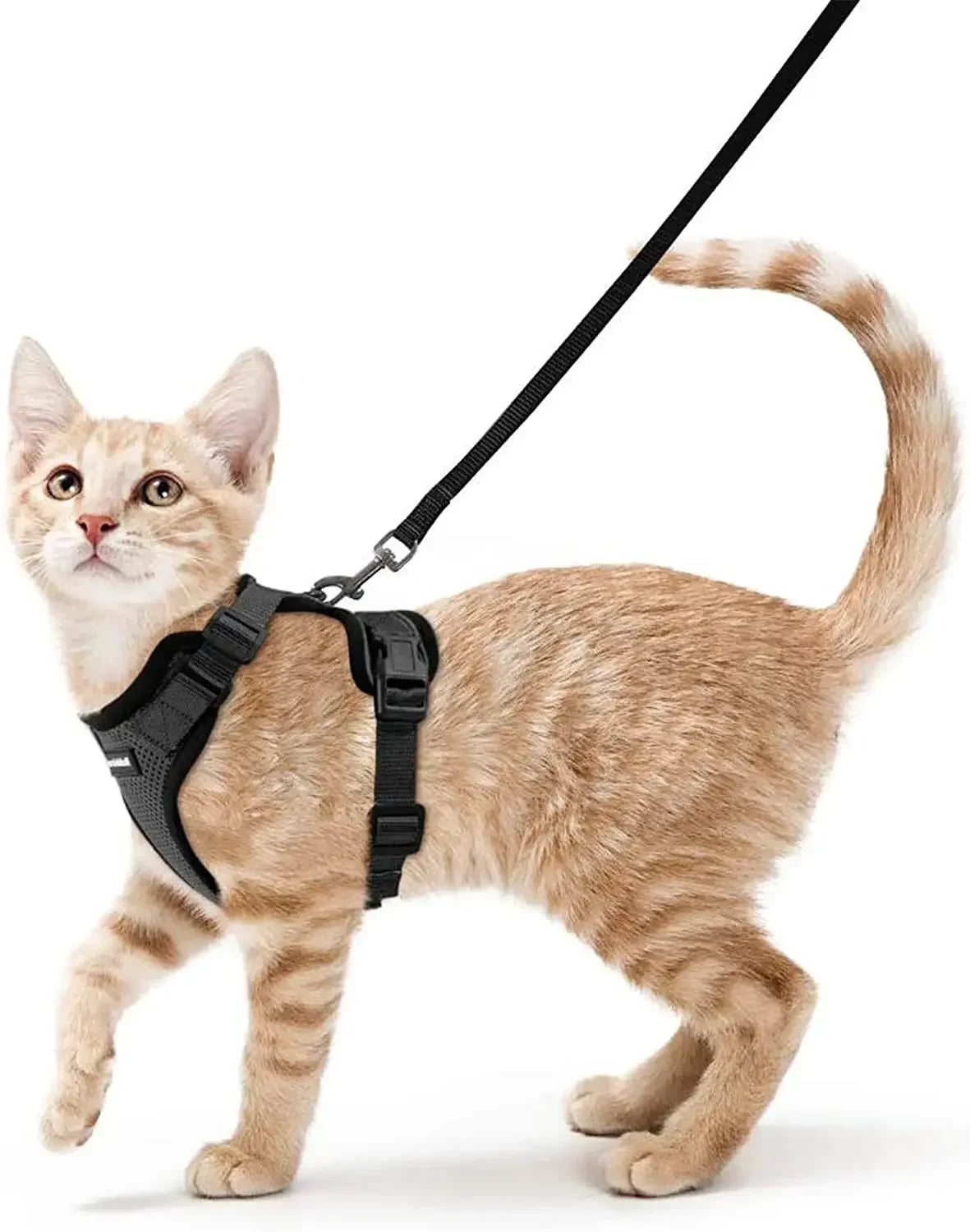 KittyStride Comfort Harness