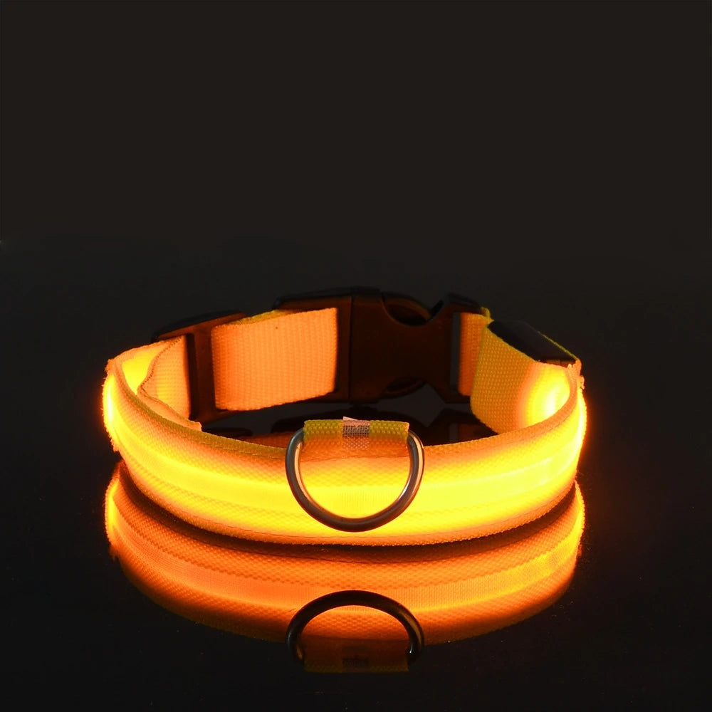 The 'Paw-Safe Glow' Collar