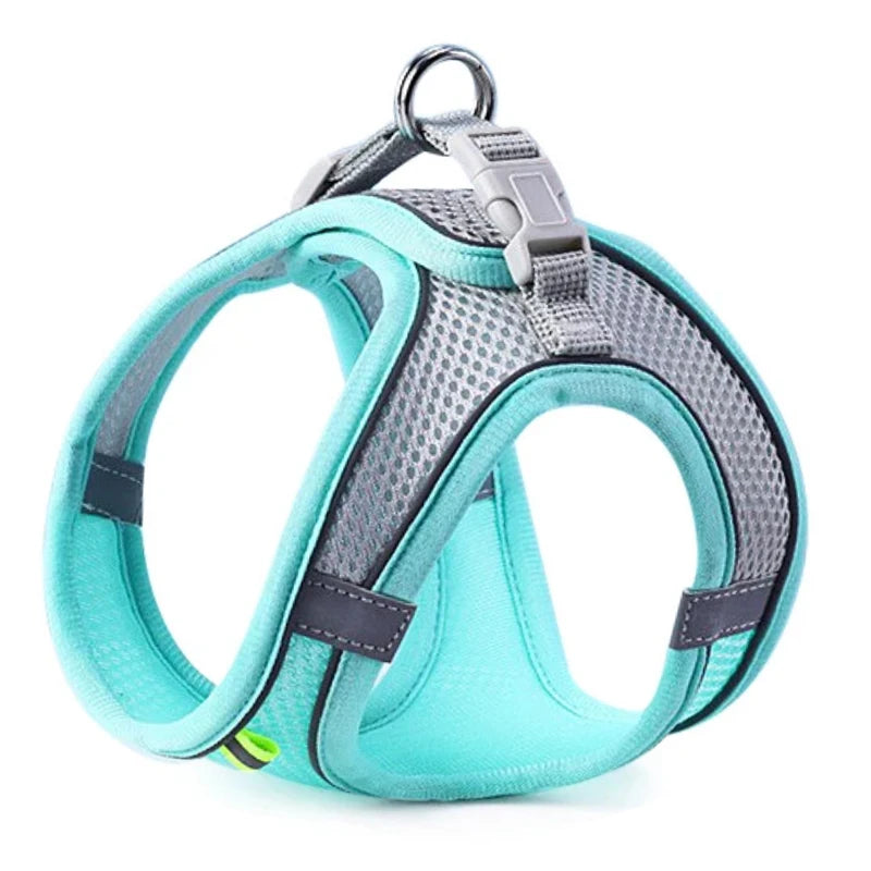 'Night-Walker' Safety Cat & Small Dog Harness