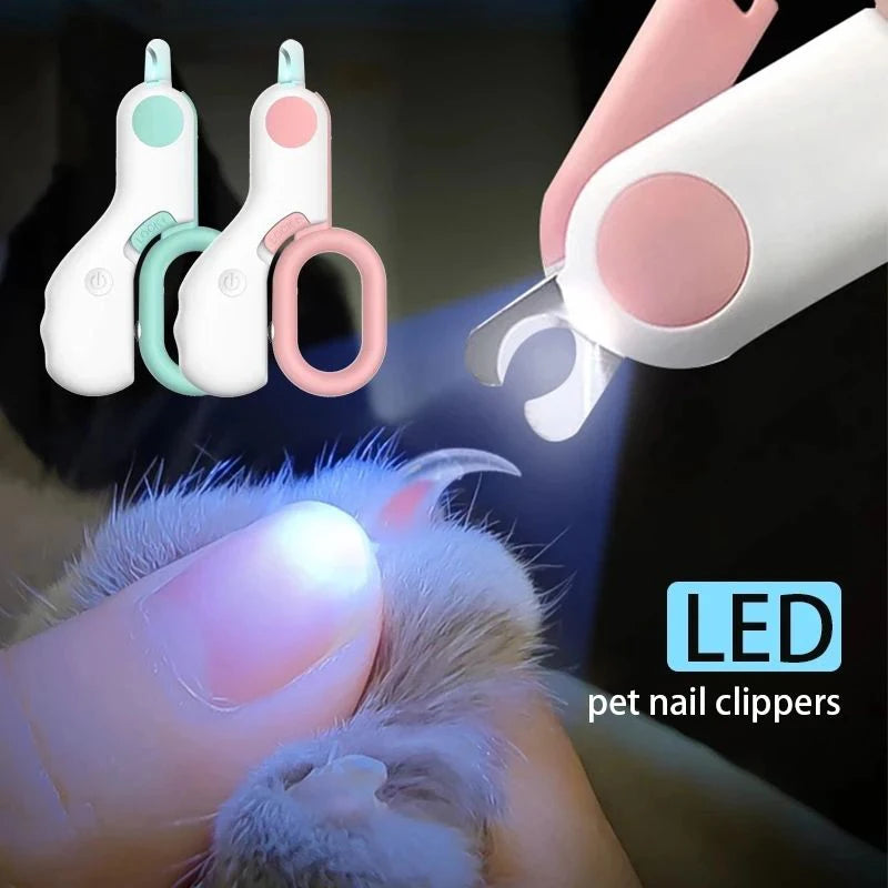 Illuminated Pet Pampering