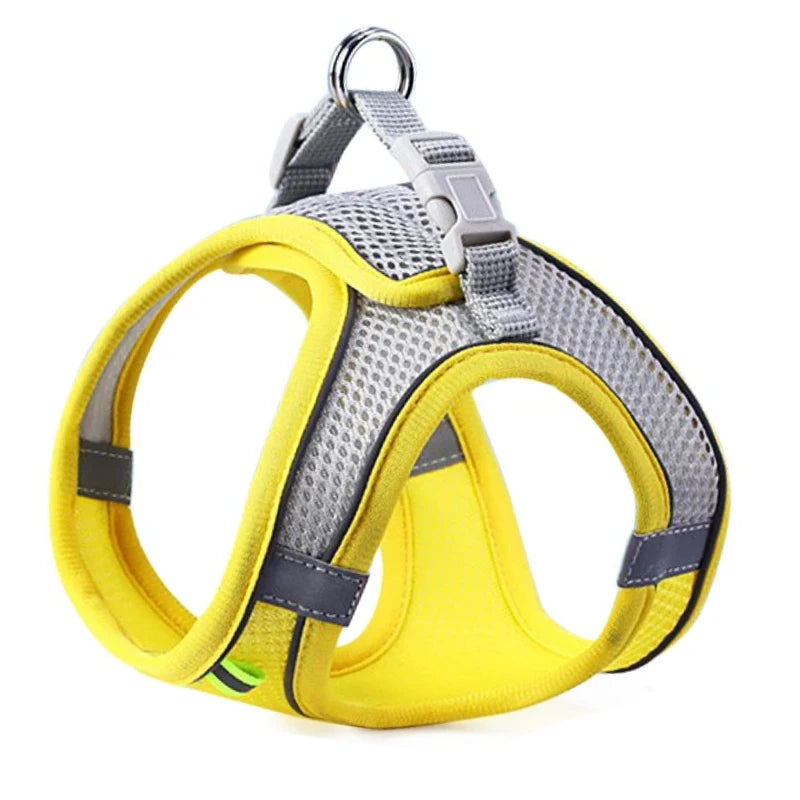 'Night-Walker' Safety Cat & Small Dog Harness