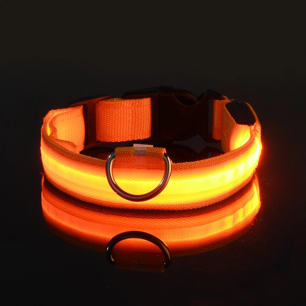 The 'Paw-Safe Glow' Collar