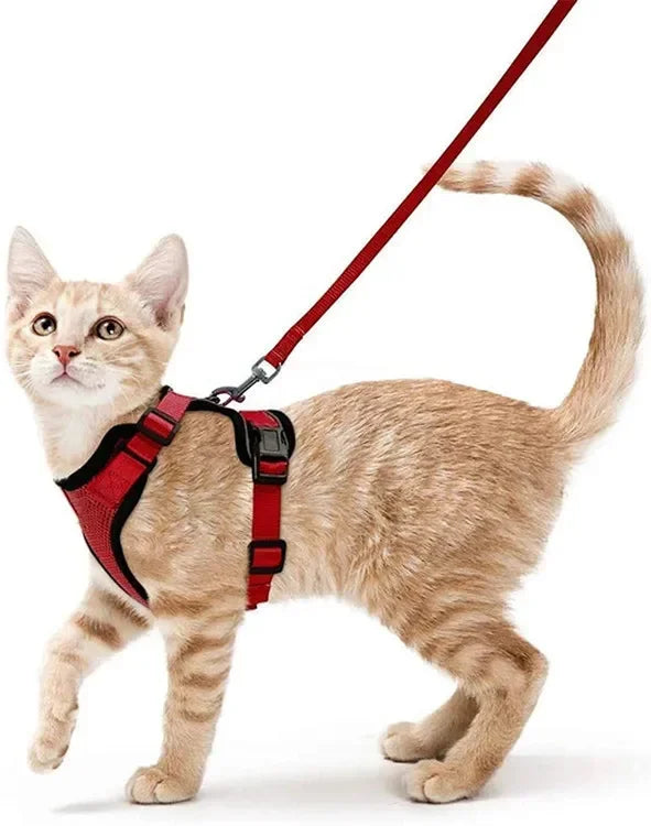 KittyStride Comfort Harness