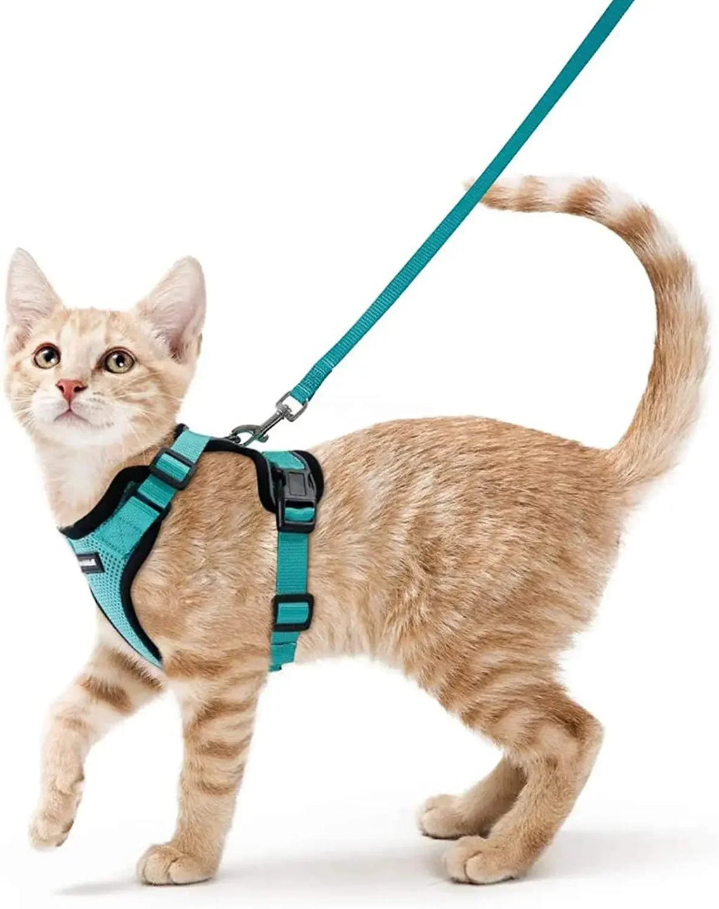 KittyStride Comfort Harness