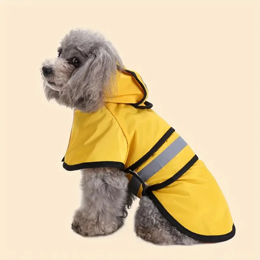 Dog wearing a yellow raincoat with reflective stripes on a beige background