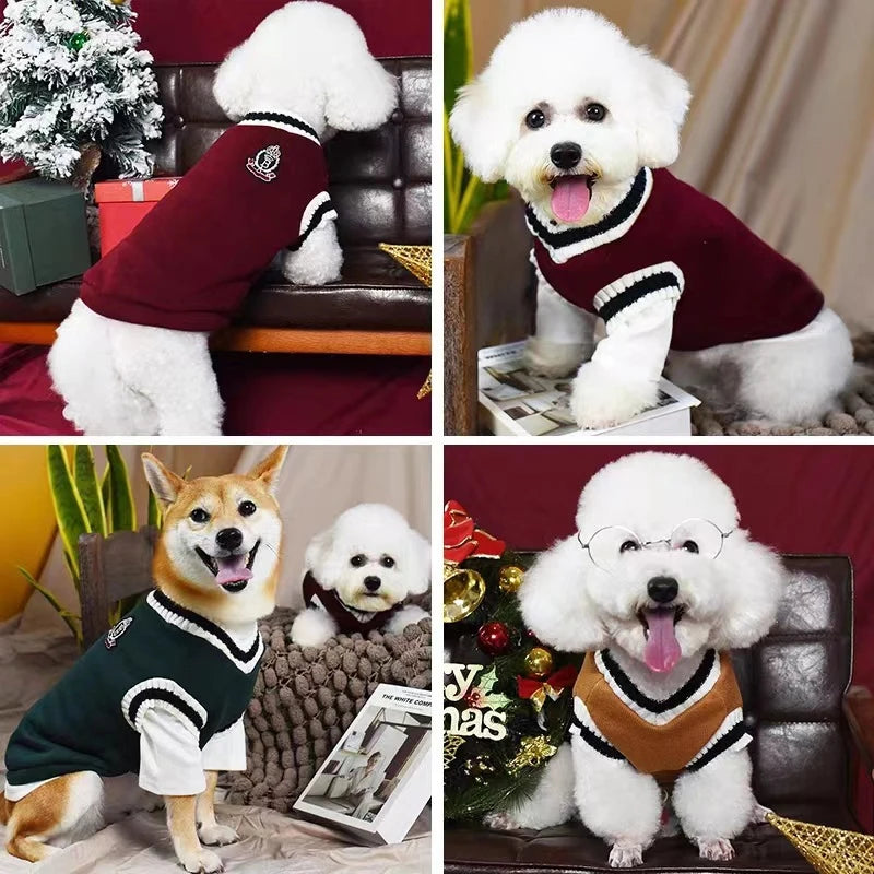 The 'Woof-sity' Varsity Jumper