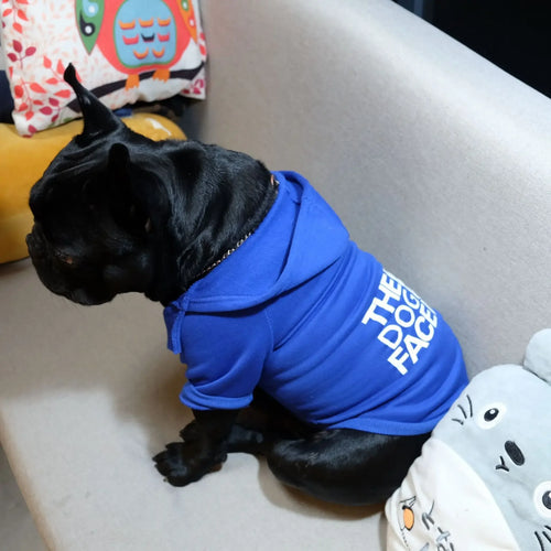"The Dog Face" Iconic Matching Pet Hoodies