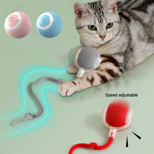 'Zoomnie' WhirlPlay Spinner