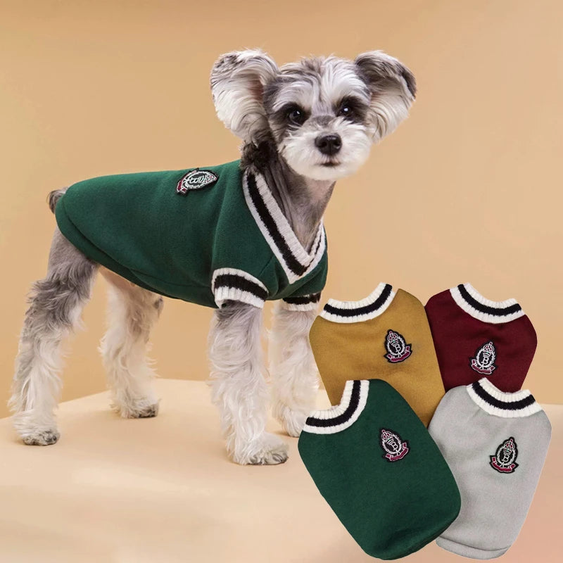 Dog wearing a green sweater with matching socks on a beige background