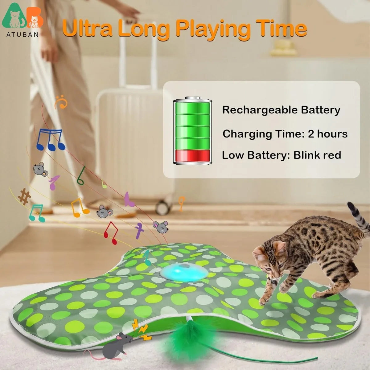 The 'Pounce & Play' Interactive Cat Mat