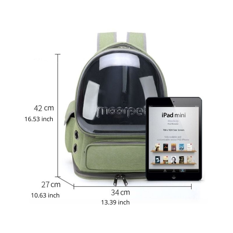 The Chelsea Purr-ter