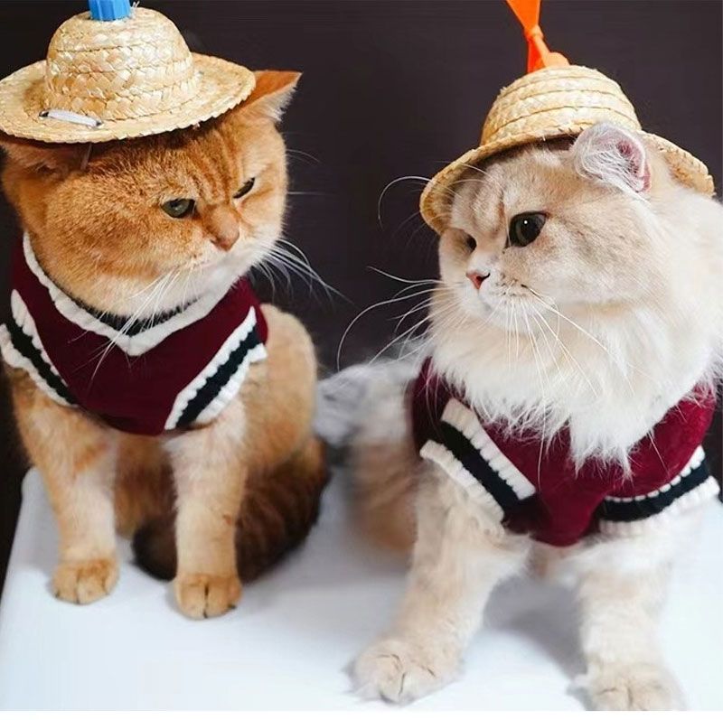 The 'Woof-sity' Varsity Jumper