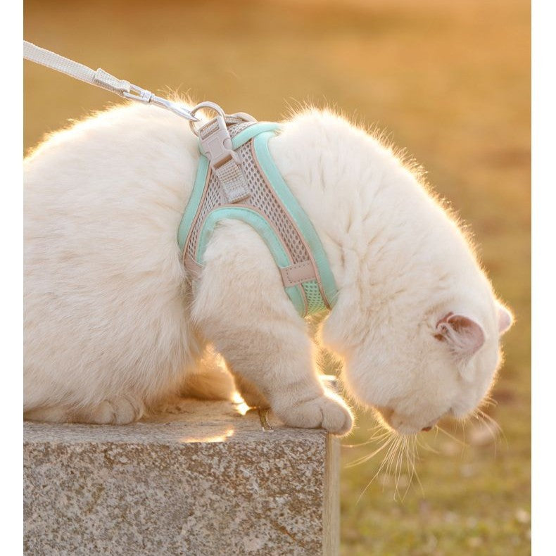 'Night-Walker' Safety Cat & Small Dog Harness