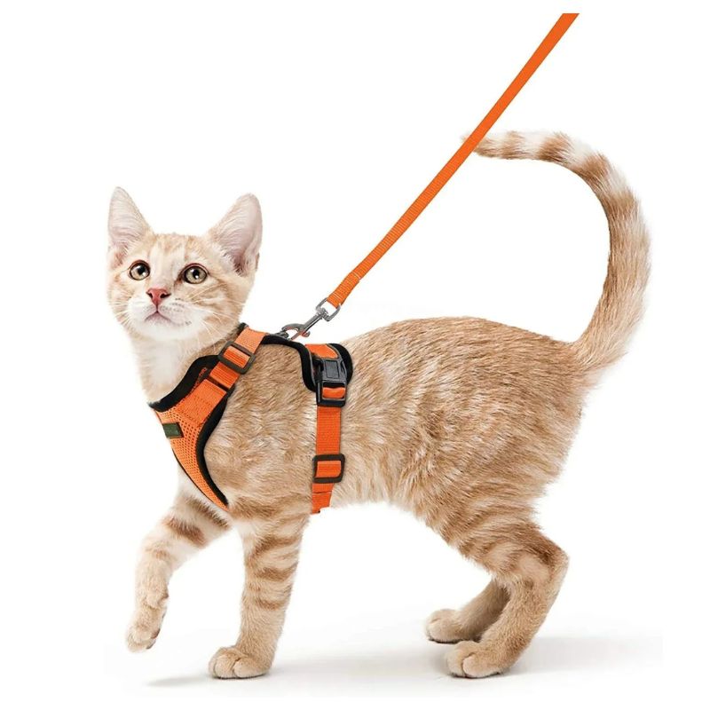 KittyStride Comfort Harness