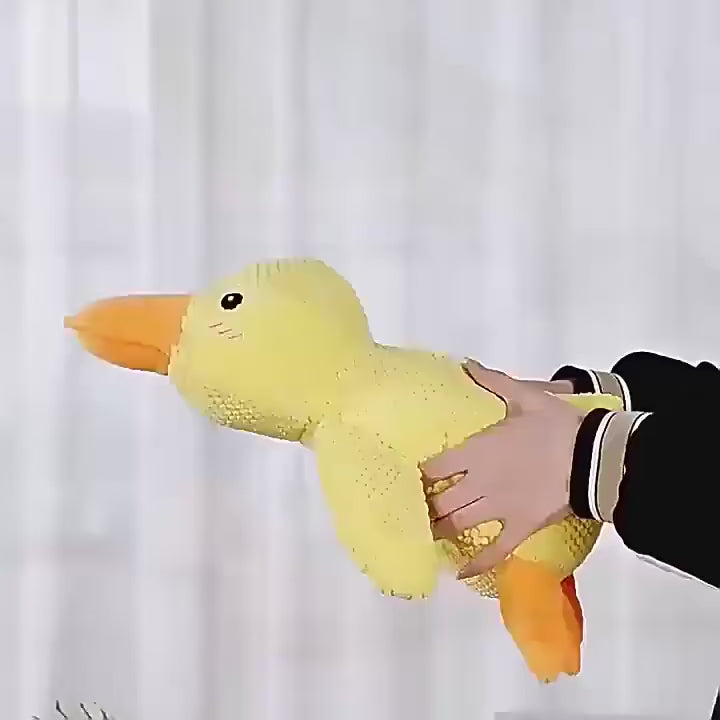 The "Quackers About You" Dog Toy