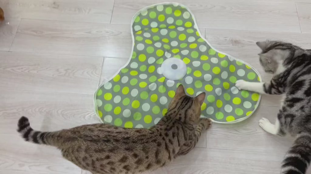 The 'Pounce & Play' Interactive Cat Mat