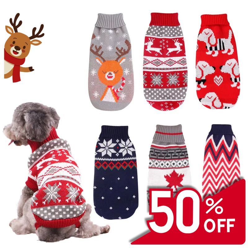 Pawsome Festive Jumper | Pet Christmas Sweater